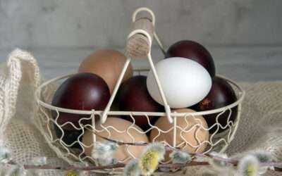 Urban Hen Gift Store