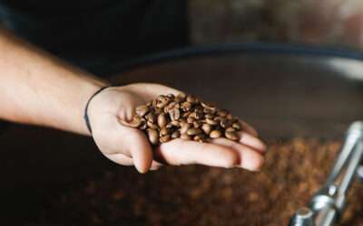 Good Bean Nambour Coffee Company