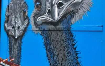 Street Art by Fiona Groom, 84 Howard St