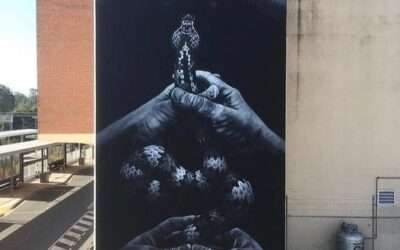 Street Art by Fuzeillear, Currie St
