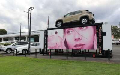 Street Art by David Hardy, 107 Coronation Ave