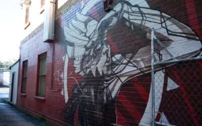 Street Art by EJ Zyla, Currie St