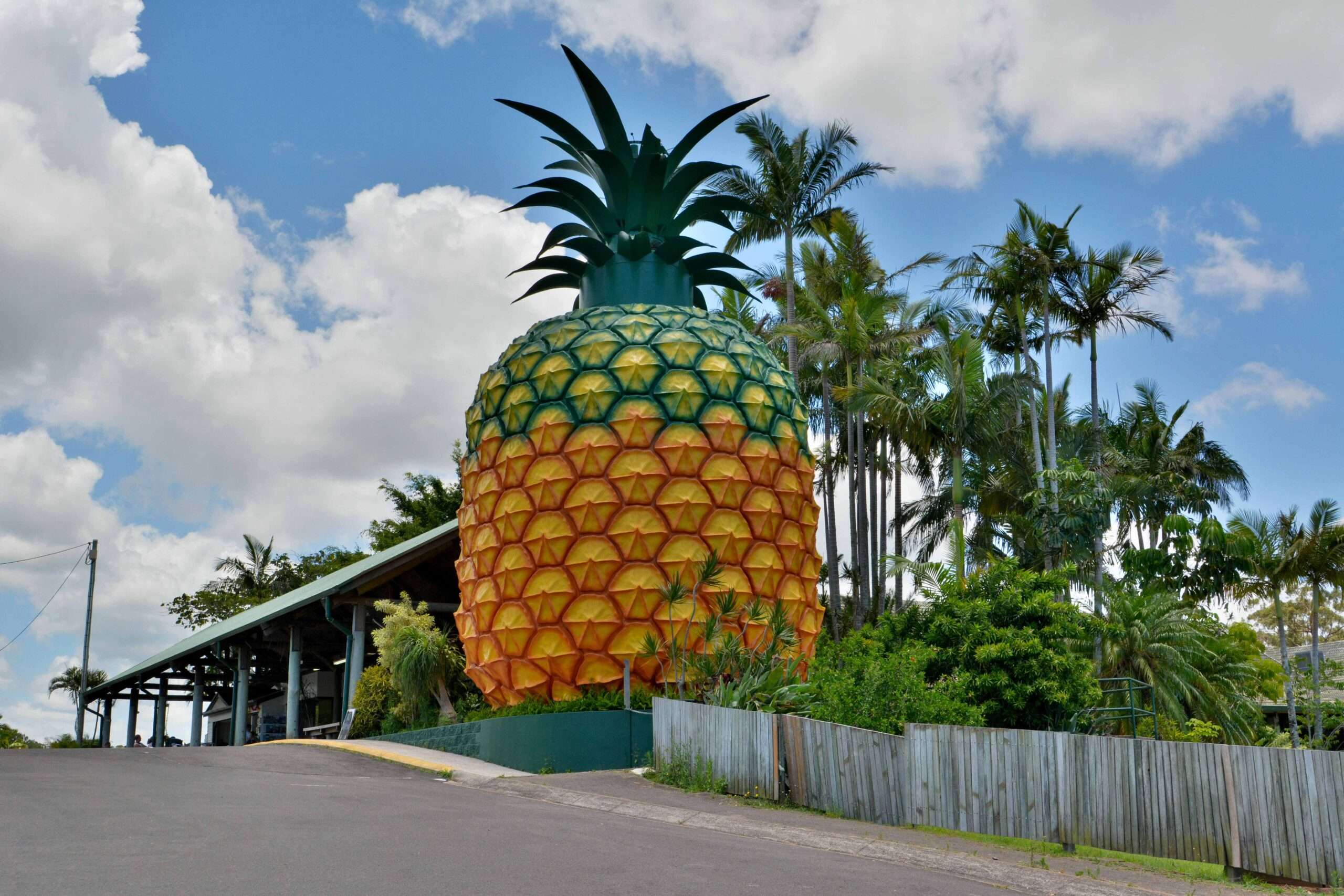Big Pineapple